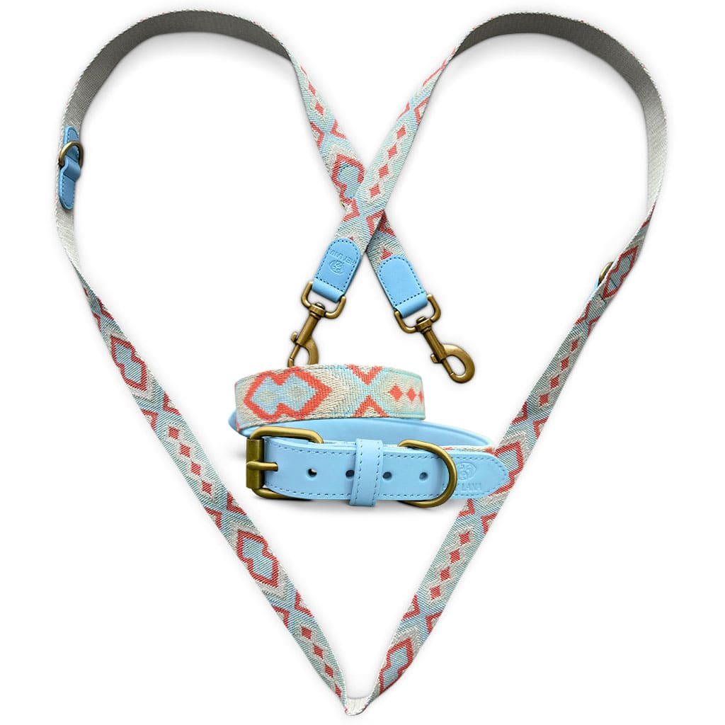 Sparset: Halsband &amp; Leine in Coral/Blau
