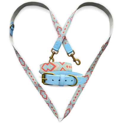 Sparset: Halsband &amp; Leine in Coral/Blau