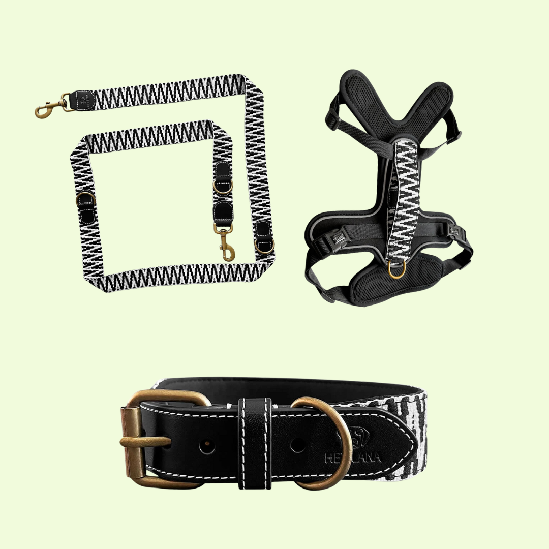 Stilvolles Hundegeschirr – Très Chic – Schwarz/Weiß von HeyLana