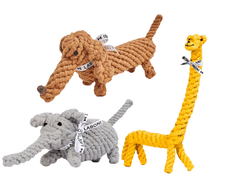 3 Bestseller im Set zum Vorteilspreis