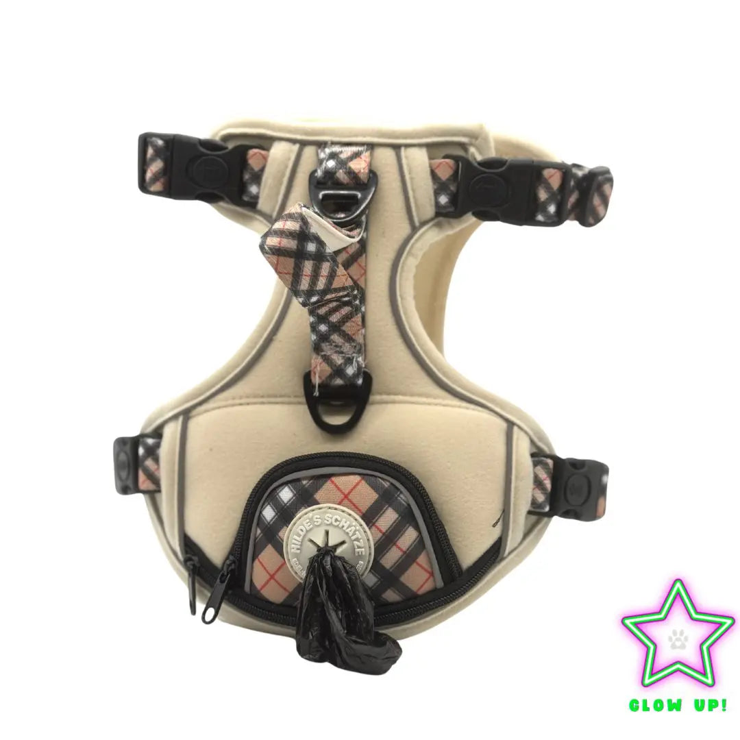 Leuchtendes Step-In Hundegeschirr