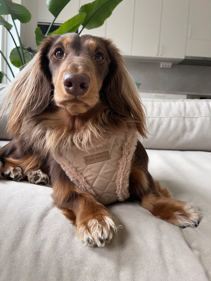 Step-In Geschirr mit Teddy-Plüsch