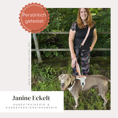 Hundegeschirr Pink/Beige – Verstellbar – Kollektion Très Chic