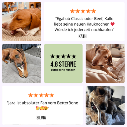 BetterBone Hundeknochen – nachhaltig &amp; zahnfreundlich