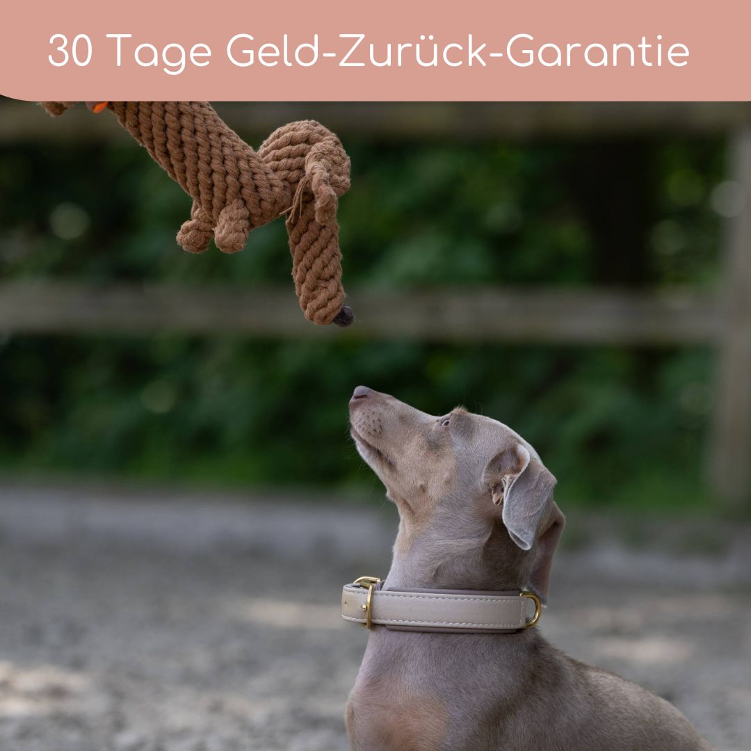 Diego Dackel – Handgefertigtes Kauspielzeug aus Baumwolle