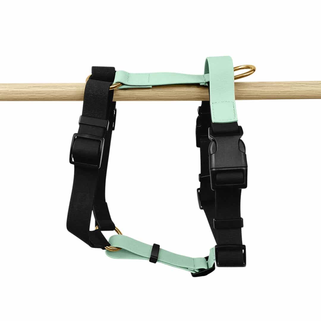 Outdoor FLEX Führgeschirr – 5-fach verstellbar mit Haltegriff (Schwarz/Mint)