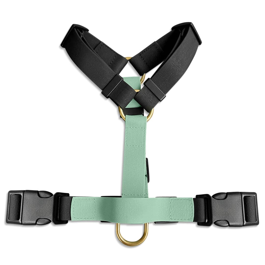 Outdoor FLEX Führgeschirr – 5-fach verstellbar mit Haltegriff (Schwarz/Mint)