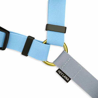 Outdoor FLEX Führgeschirr – 5-fach verstellbar mit Haltegriff (Taupe/Blau)