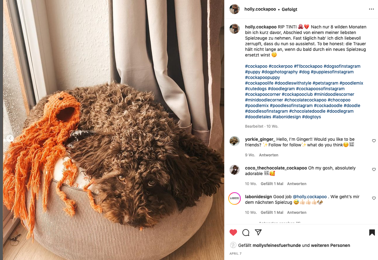 Thaddäus Tintenfisch – Handgeknüpftes Hundespielzeug aus Baumwolle