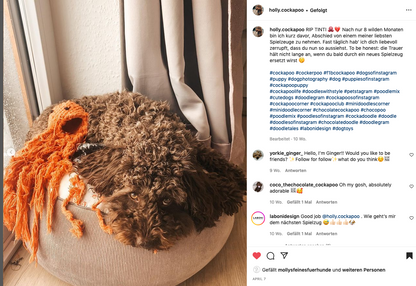 Thaddäus Tintenfisch – Handgeknüpftes Hundespielzeug aus Baumwolle