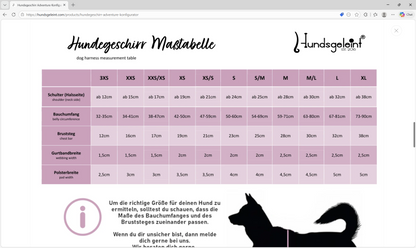 Hundegeschirr WildBloom gepolstert und handgefertigt