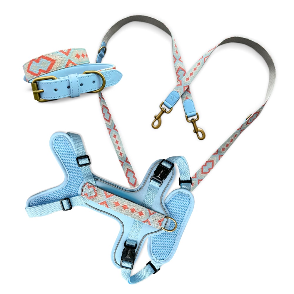 Set Hundehalsband, Leine und Geschirr - coral/blau