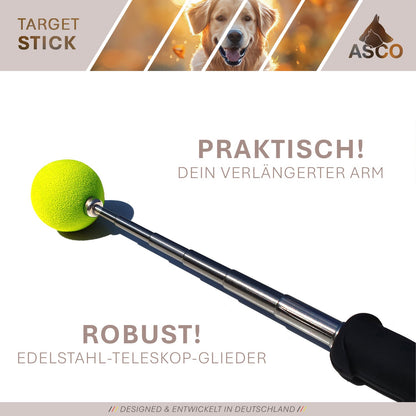 ASCO Target Stick - Hunde und Katzen Teleskopstab mit Softball