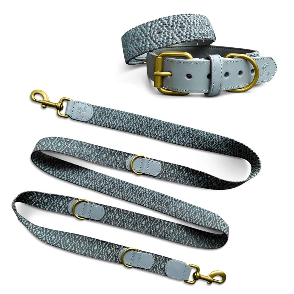 Sparset: Halsband &amp; Leine in Anthrazit/Eisblau