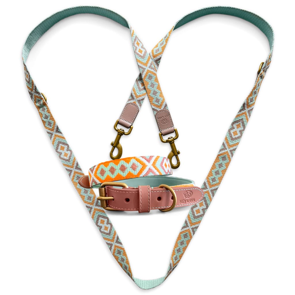 Sparset: Halsband &amp; Leine in Mint/grün