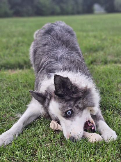 BetterBone Kauspielzeug Kauknochen - Large Medium Classic - Pfotenlieblinge