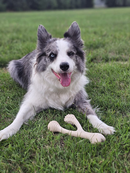 BetterBone Kauspielzeug Kauknochen - Large Medium Classic - Pfotenlieblinge