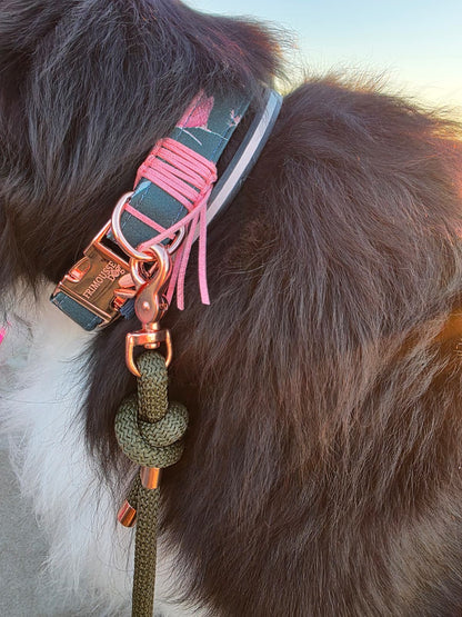 Verstellbares Hundehalsband handgemacht in Frankreich