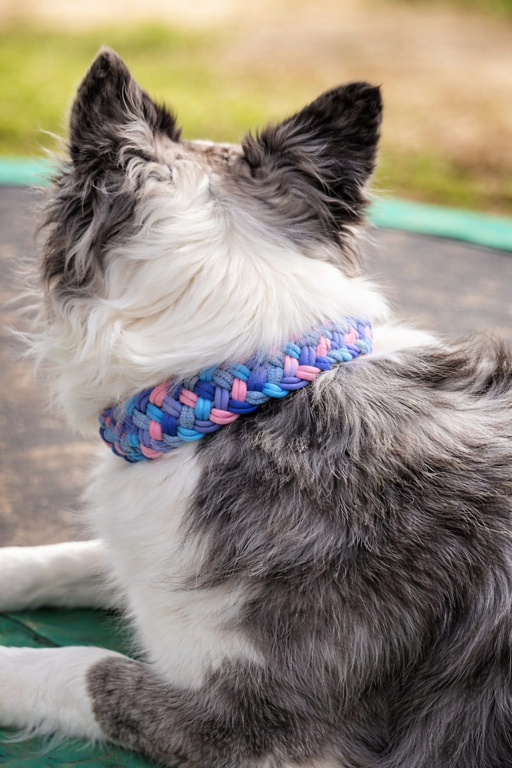 Handgemachtes Paracord-Hundehalsband Bubblegum