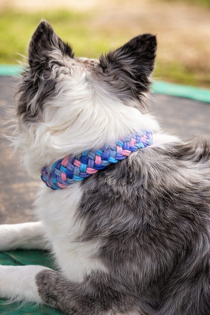 Handgemachtes Paracord-Hundehalsband Bubblegum