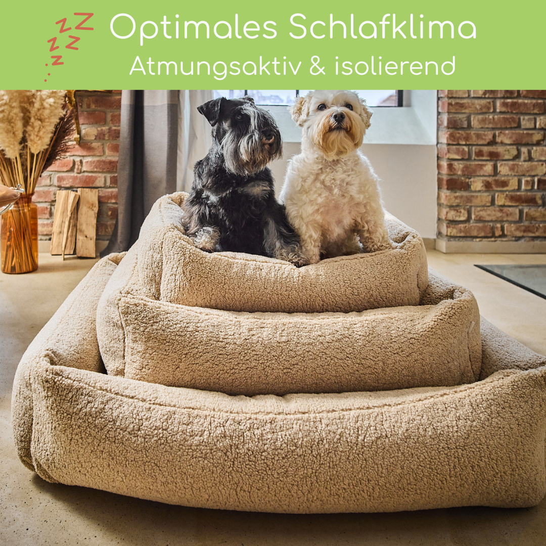 LABONI Hundebett CLASSIC – TEDDY Bouclé (kuschelig &amp; robust)