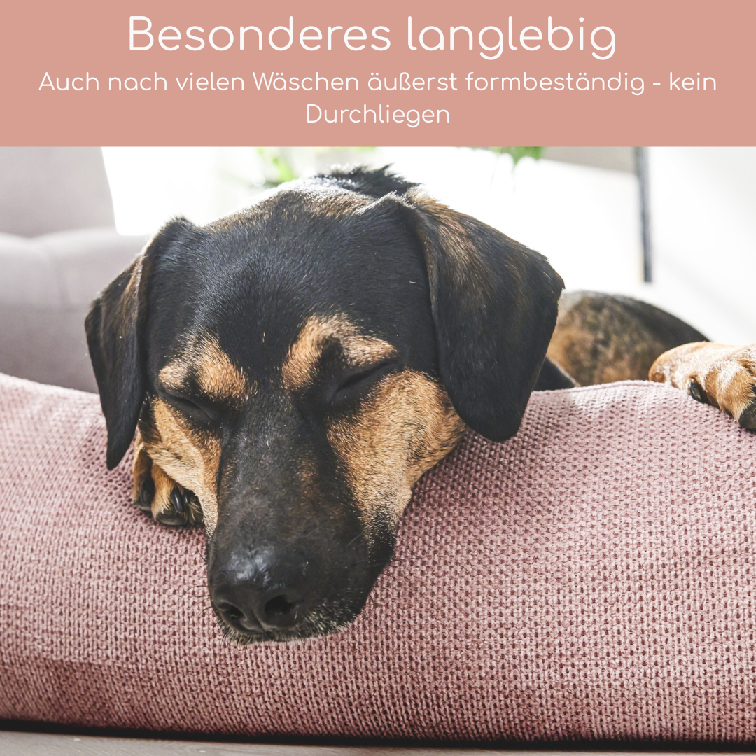 LABONI CLASSIC Hundebett TUDOR – Hochwertiges, pflegeleichtes Designer-Hundebett