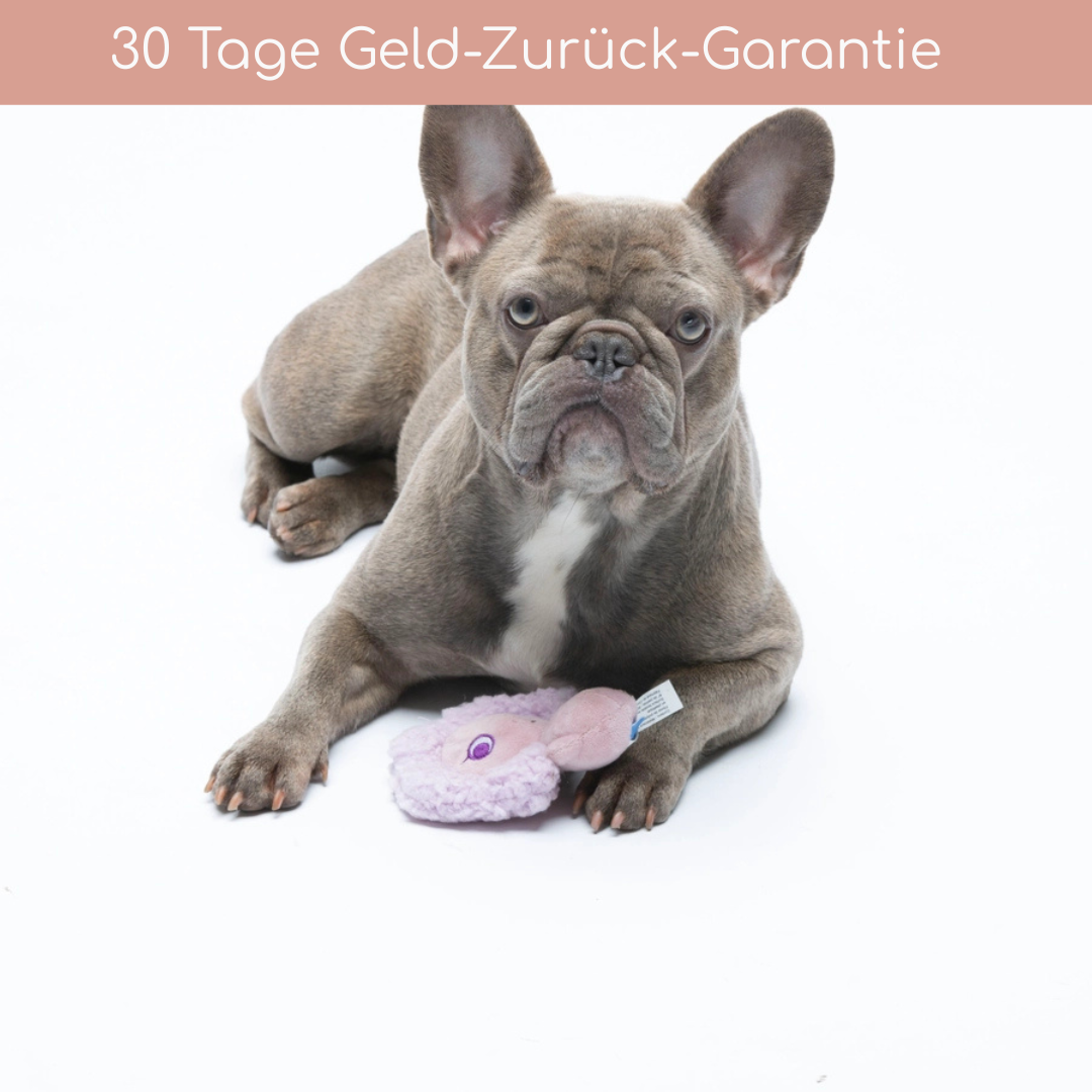 Antistress-Plüschtier mit ätherischen Ölen - Fancy