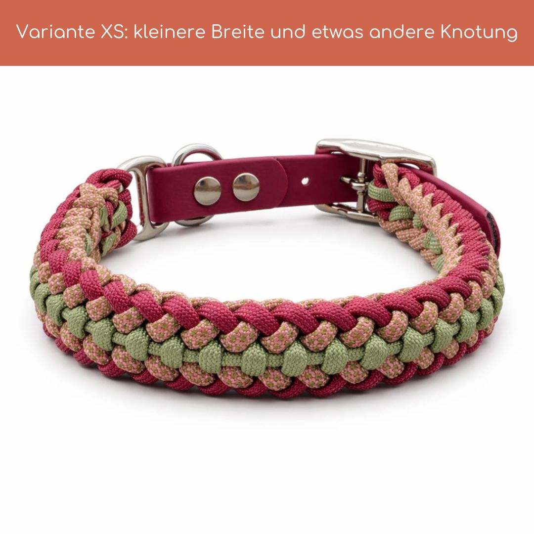 Handgemachtes Paracord-Hundehalsband „Rosé Sage“