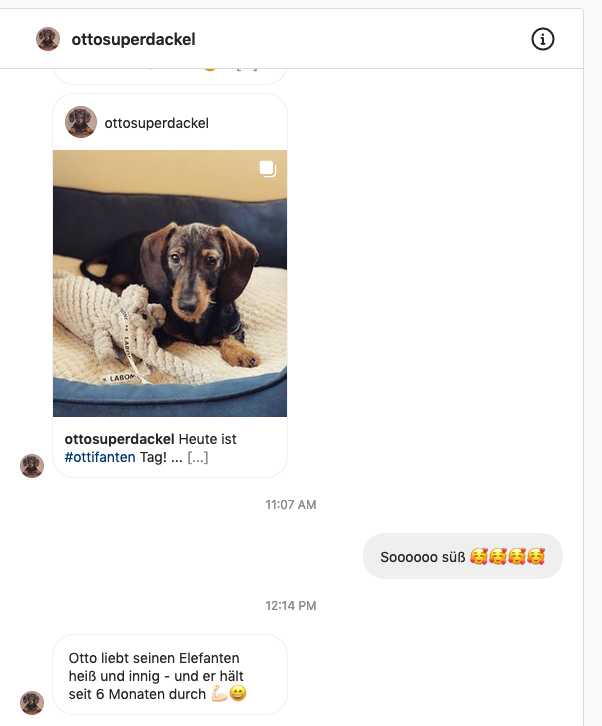 Elton Elefant Hundespielzeug – robust &amp; zahnpflegend