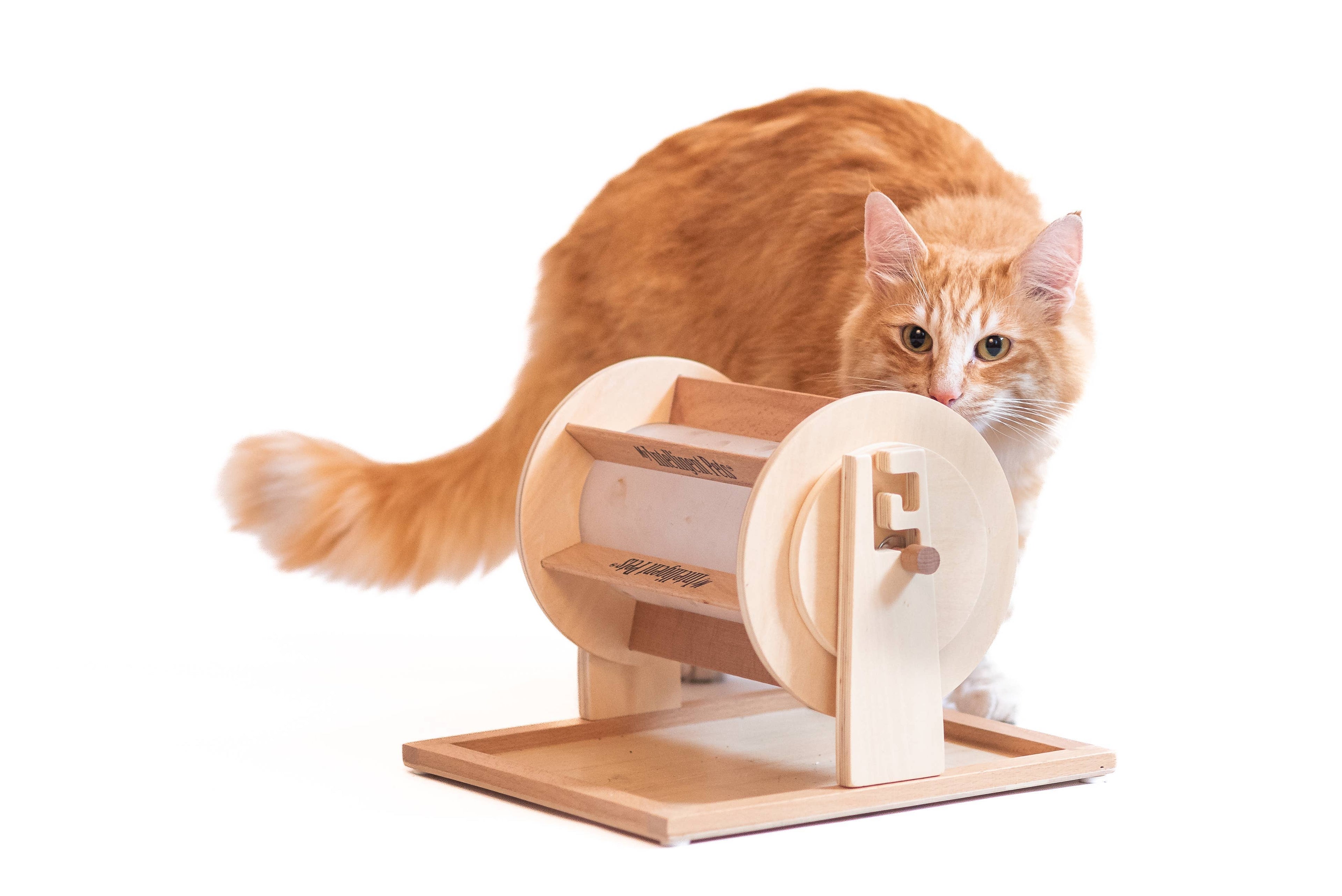 Glücksrad - Haustierspielzeug des Jahres - Leckerli-Spender