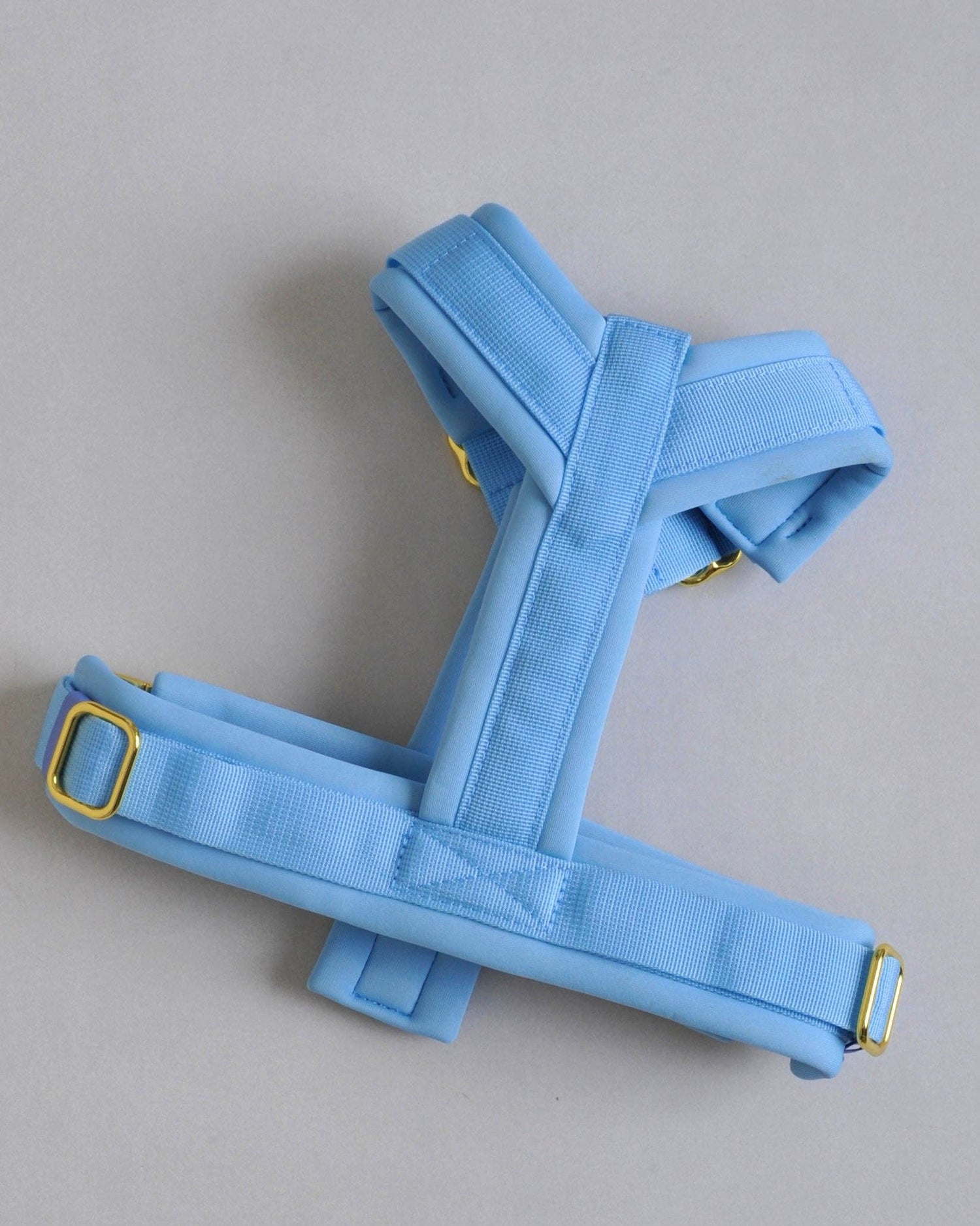 Hundegeschirr Blau gepolstert &amp; verstellbar