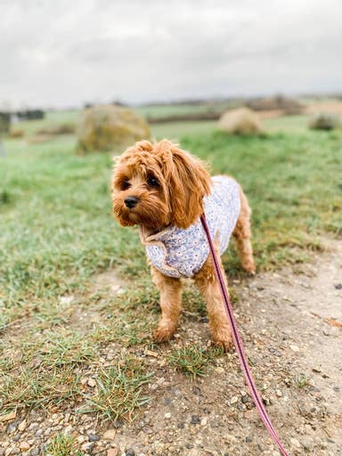 Teddyweste - Winter Bloom - Wendbar