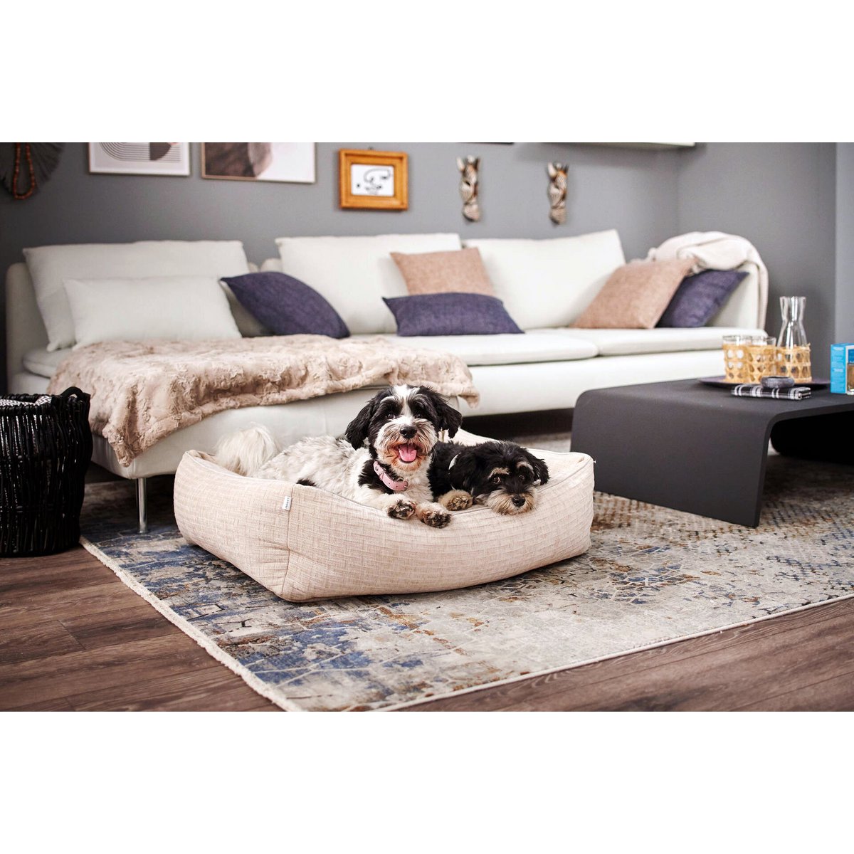 CLASSIC Hundebett - NOVA CREME