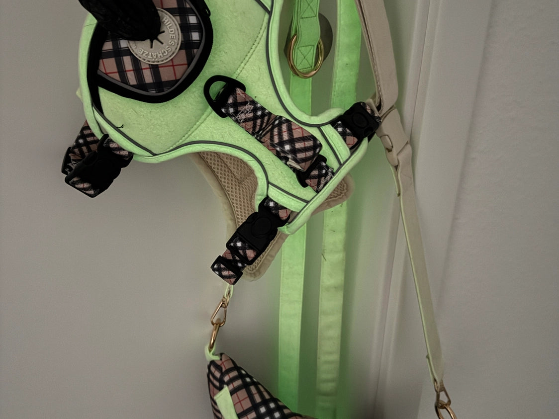 Leuchtendes Step-In Hundegeschirr