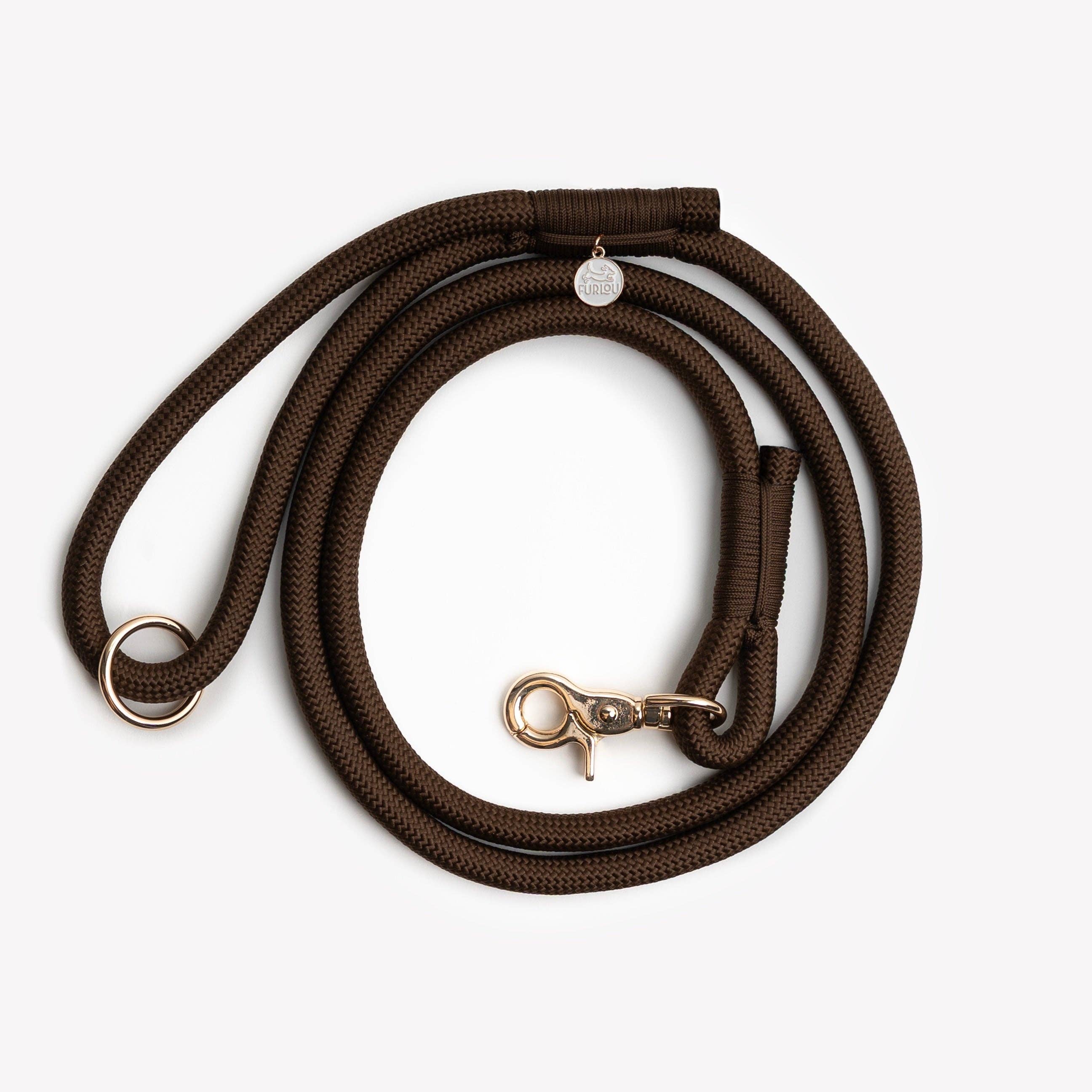 Hundeleine Braun mit Gold-Details