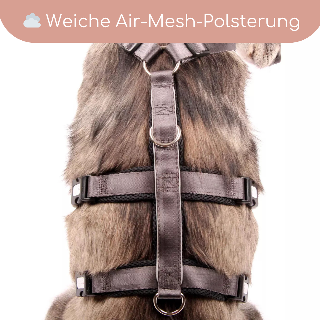 StyleSnout® Patch&amp;Safe Sicherheitsgeschirr – ausbruchsicher &amp; gepolstert