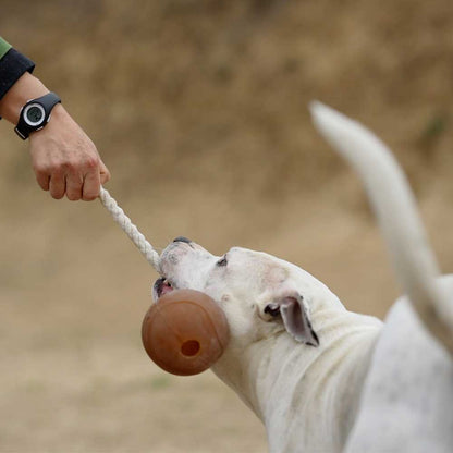 Rub Ball Rope Hundespielzeug, Größe XL