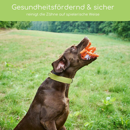 Thaddäus Tintenfisch – Handgeknüpftes Hundespielzeug aus Baumwolle