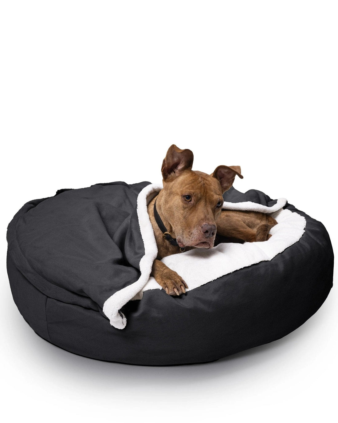 Kuscheliges Hundebett: Anti-Stress mit abnehmbarer Kuscheldecke