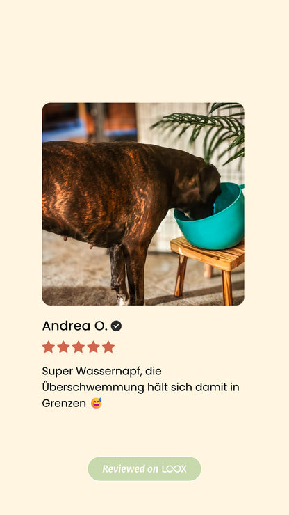 Antischlabbernapf in Tassenform – 2,5 l Napf aus recyceltem Material