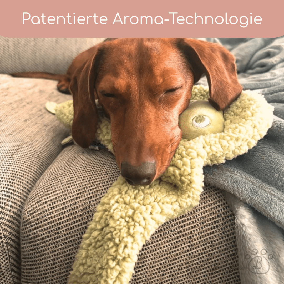 Antistress - Plüschtier mit ätherischen Ölen - Musk - Pfotenlieblinge