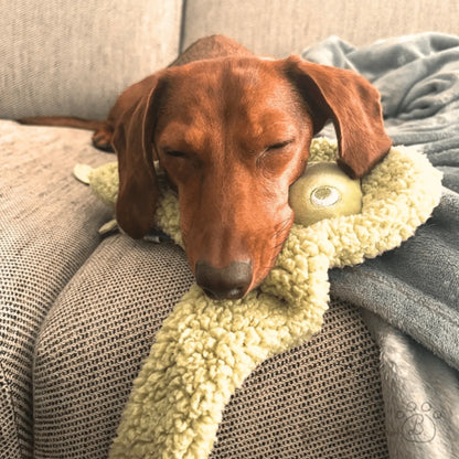 AromaStories Set – MUSK &amp; ROSICCHIO Spielzeuge mit Duftfunktion, 5 € günstiger