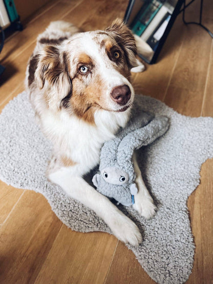 AromaStories Set – MUSK &amp; ROSICCHIO Spielzeuge mit Duftfunktion, 5 € günstiger - Pfotenlieblinge