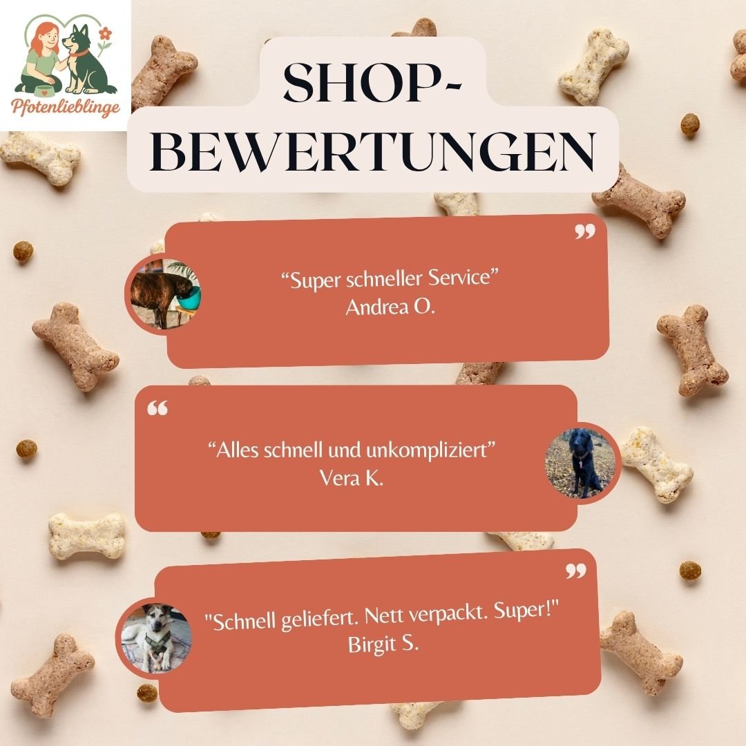 AromaStories Set – MUSK &amp; ROSICCHIO Spielzeuge mit Duftfunktion, 5 € günstiger - Pfotenlieblinge