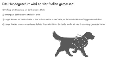 Hundegeschirr Dark Roses, Verstellbar &amp; Handmade