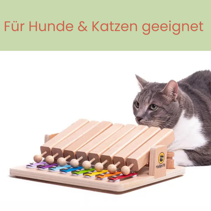 Piano - Interaktives Haustierspielzeug des Jahres Intelligenzspielzeug