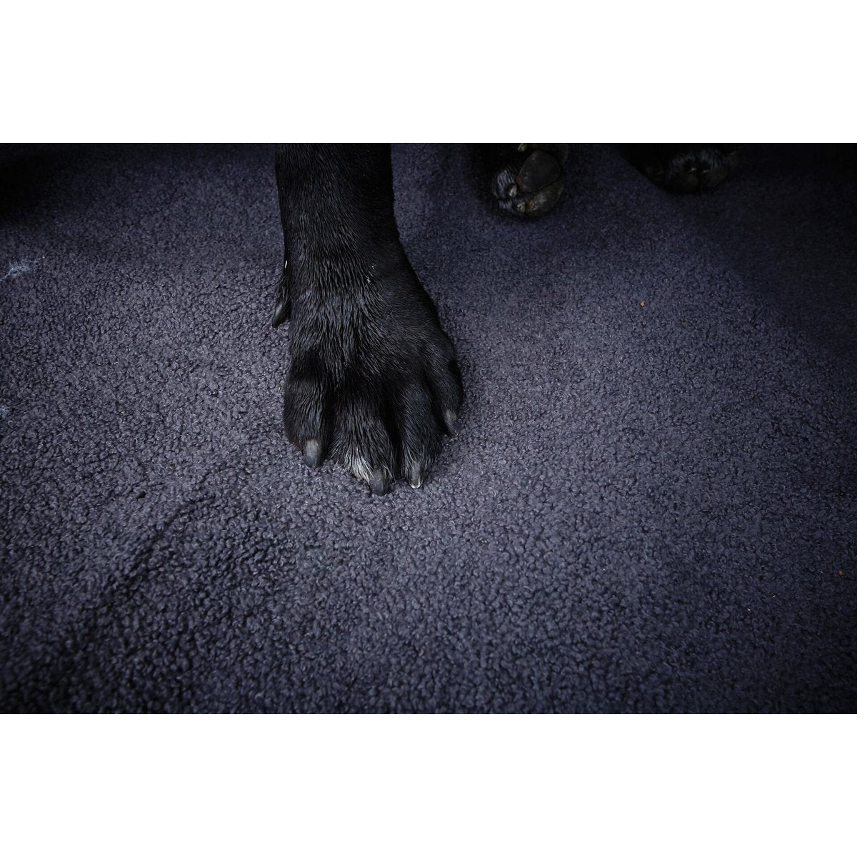 LABONI CLASSIC Hundebett – TEDDY