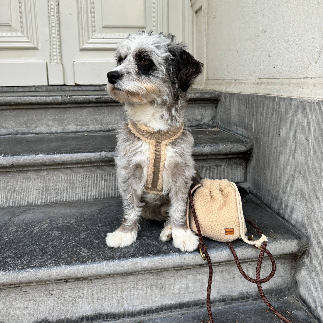 Teddy - Treat-Tasche