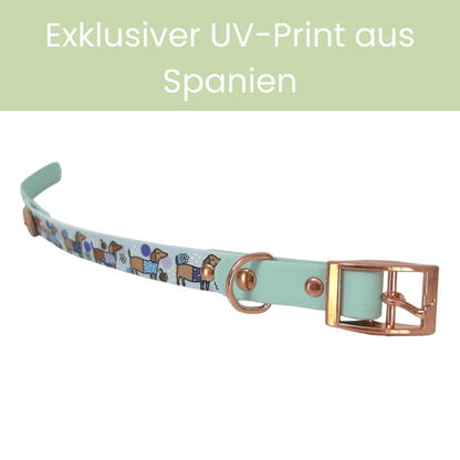 Bee Happy Dachshunds — Handgefertigtes Biothan - Hundehalsband — Babyblau - Pfotenlieblinge