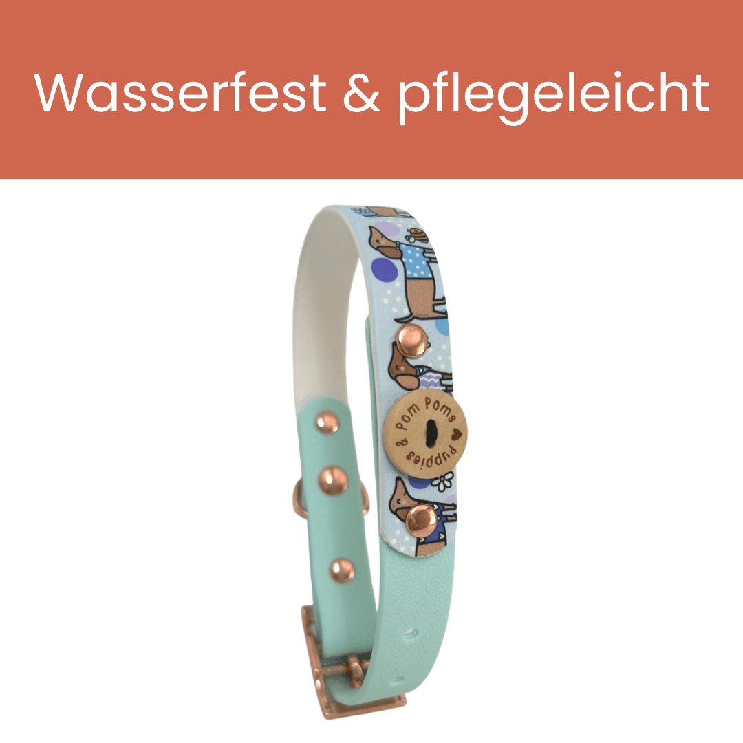 Bee Happy Dachshunds — Handgefertigtes Biothan - Hundehalsband — Babyblau - Pfotenlieblinge